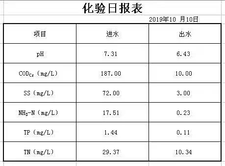 2019年10月10日化验日报表