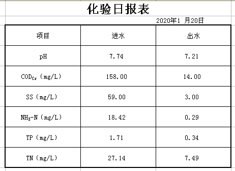 2020年1月20日化验日报表